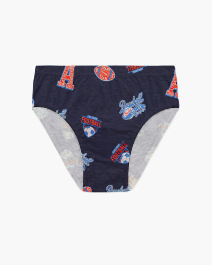 Minerva Champ Team Boys’ / Teen’s Briefs 3pcs 42627