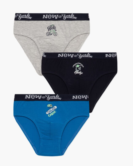 Minerva New York Boys’ / Teen’s Briefs 3pcs 42676