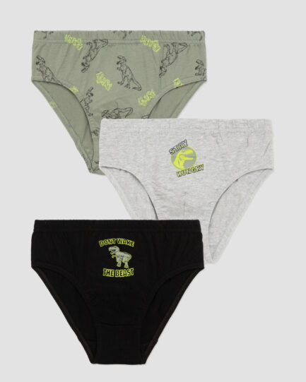 Minerva The Beast Boys’ Briefs 3 pcs 45576